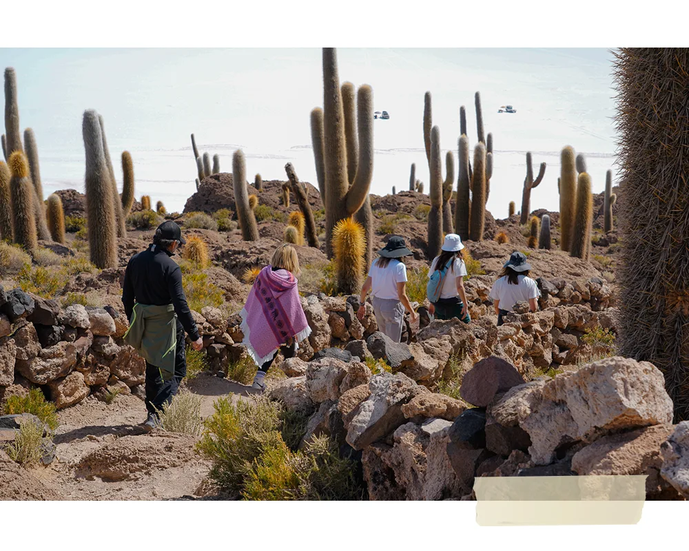 atacama3