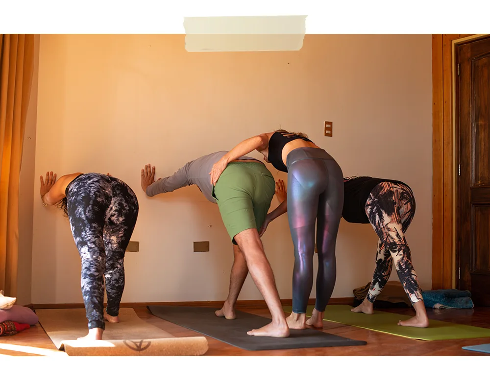 iyengar2