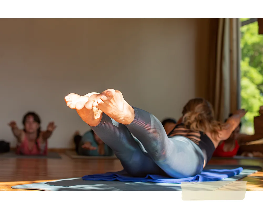 iyengar3